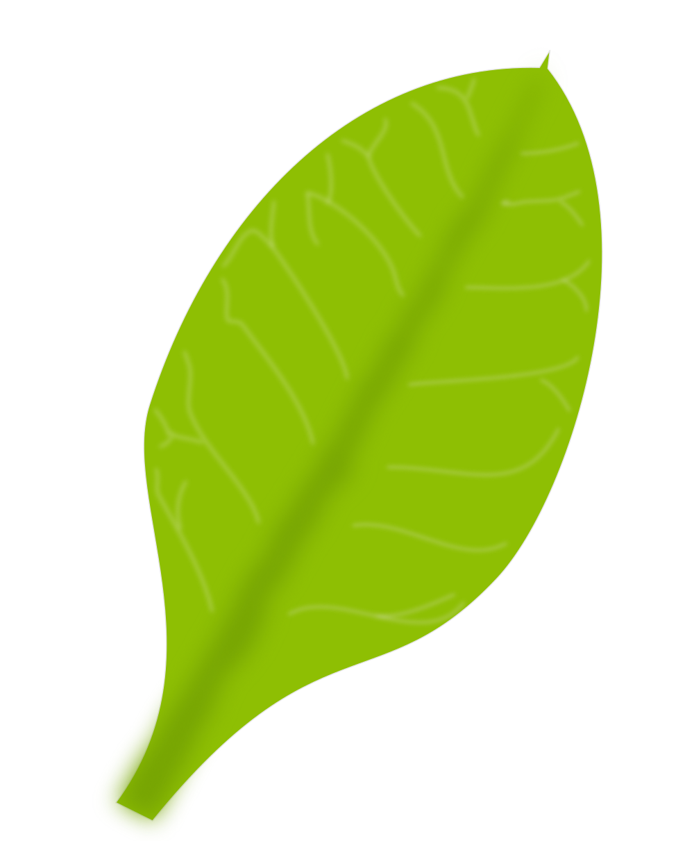 OnlineLabels Clip Art - Green Leaf